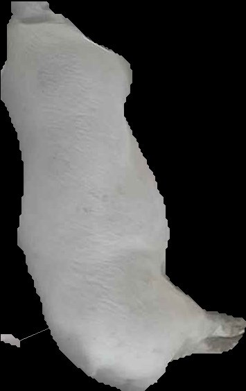 Crop