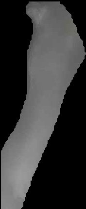 Crop