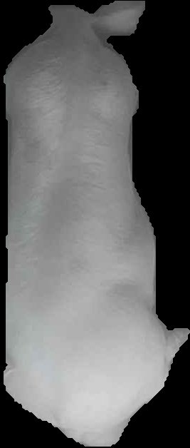 Crop