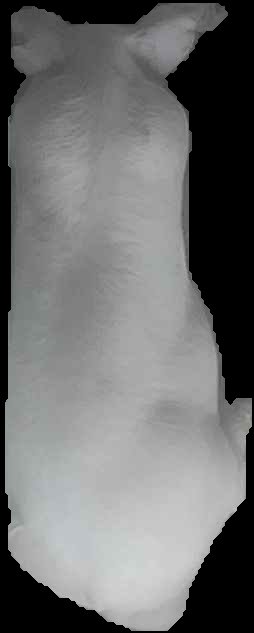 Crop