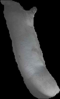 Crop