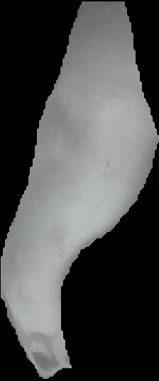 Crop