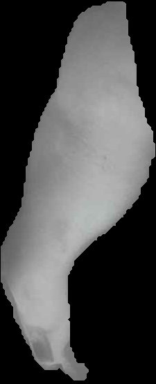 Crop