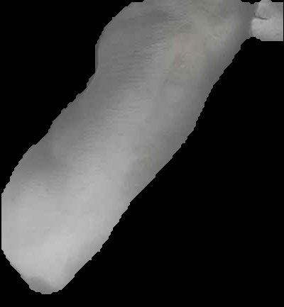Crop