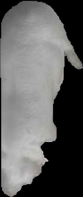 Crop