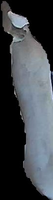 Crop