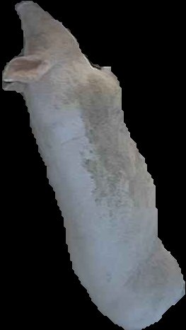 Crop