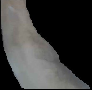 Crop
