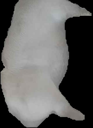 Crop