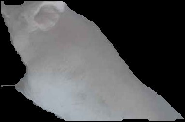 Crop