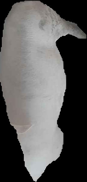 Crop