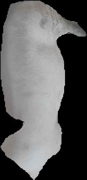 Crop