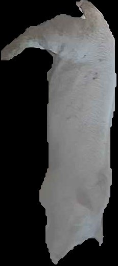 Crop