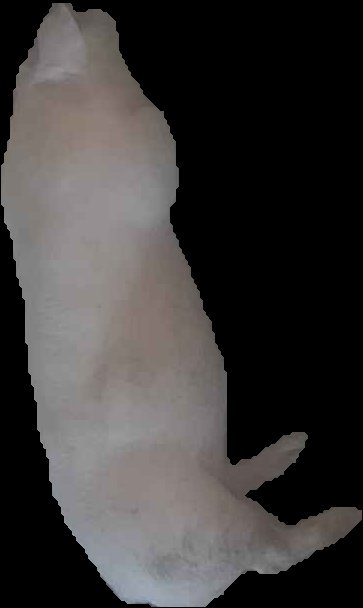 Crop