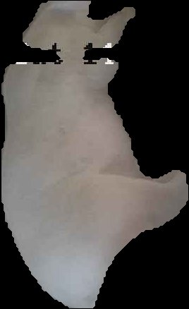 Crop