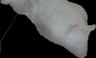Crop