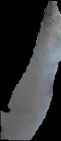 Crop