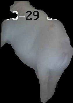 Crop