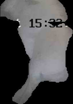 Crop