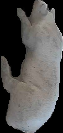 Crop