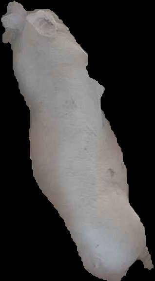 Crop