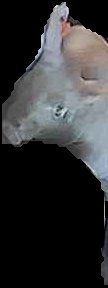 Crop