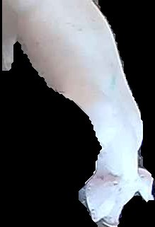 Crop