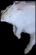 Crop