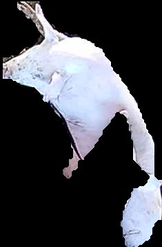 Crop