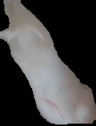 Crop