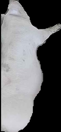 Crop