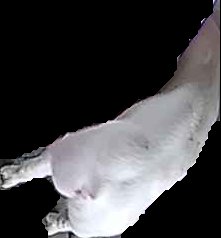 Crop