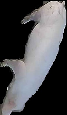 Crop