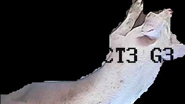 Crop