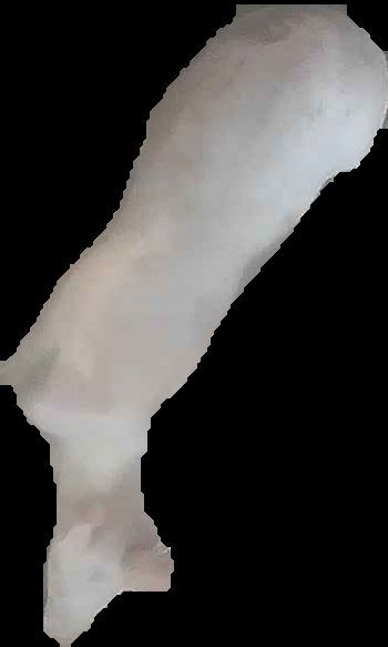 Crop