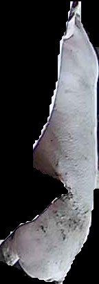 Crop