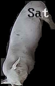 Crop