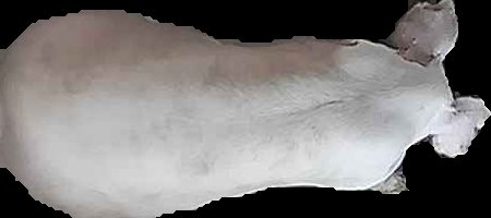 Crop