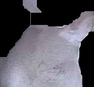 Crop
