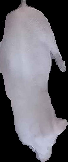 Crop