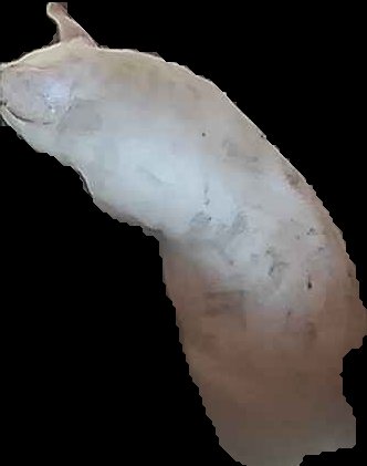 Crop
