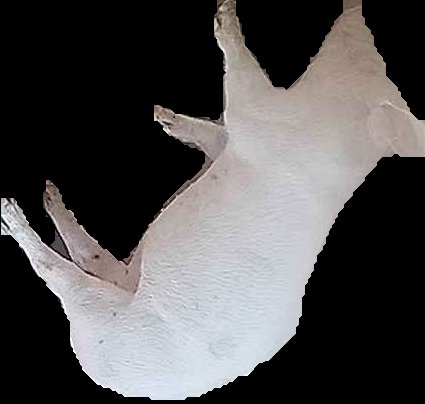Crop