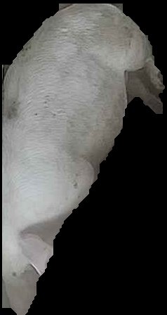 Crop