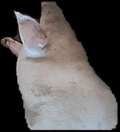Crop
