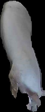 Crop
