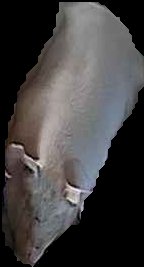Crop