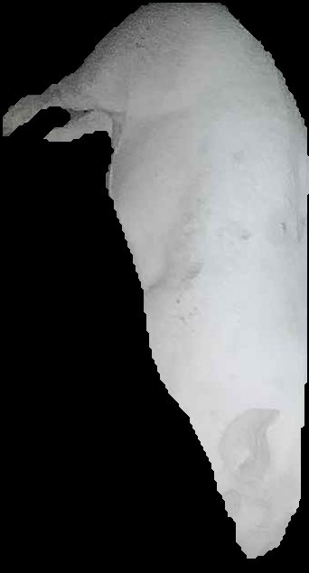 Crop