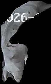 Crop