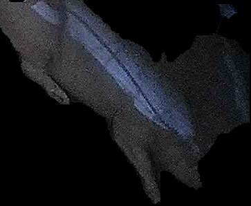 Crop