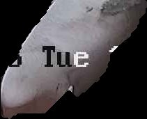Crop